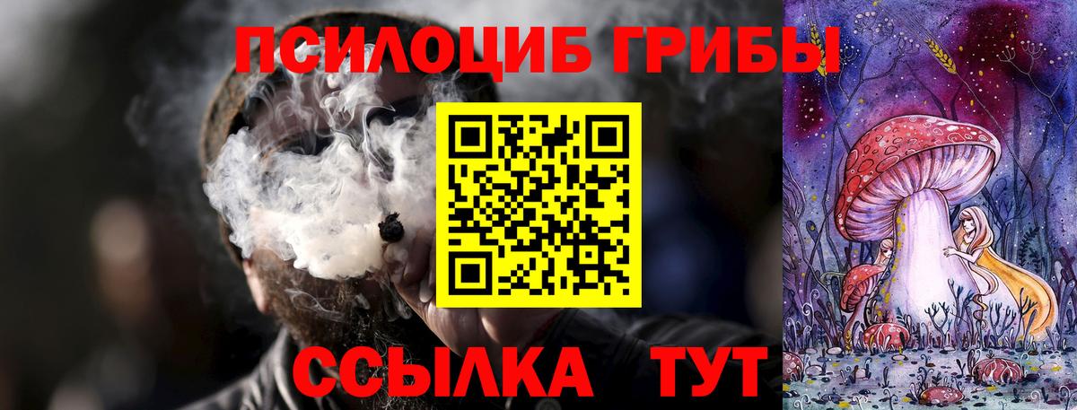 Галлюциногенные грибы Magic Shrooms  наркотики  Псилоцибиновые грибы мицелий  Ржев  Вход с VPN 